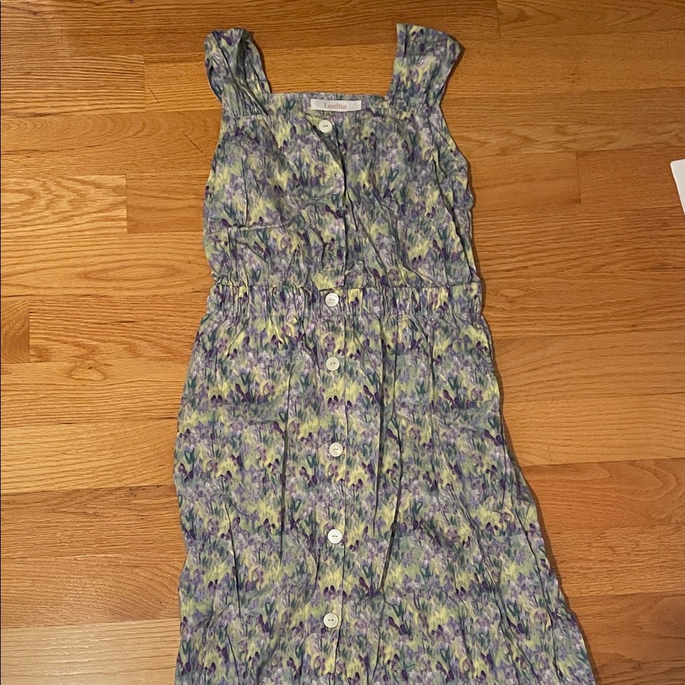 Lenina Floral Sleeveless Button-Down Dress